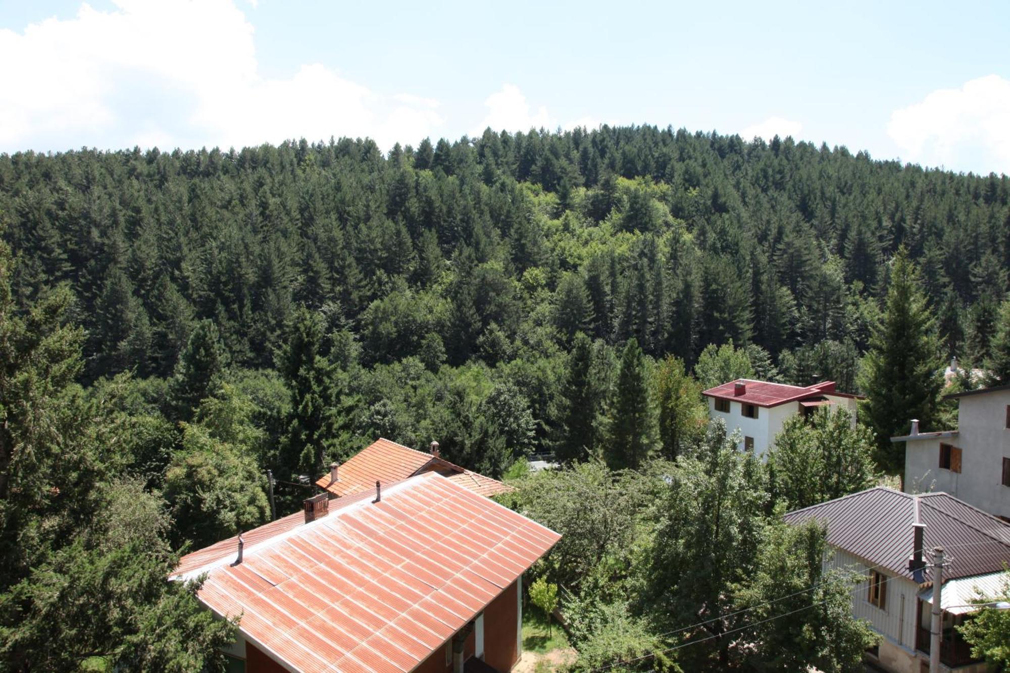 Hotel Tasso Camigliatello Silano Dış mekan fotoğraf